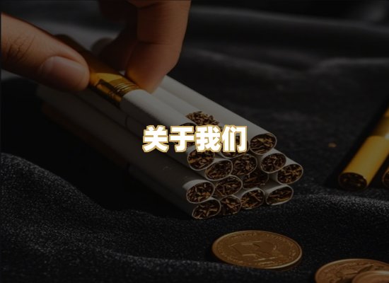 关于我们